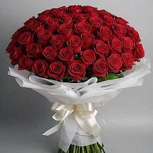 Букет 101 Красная роза Блэк Мэджик в Дергаево