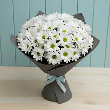 Букет цветов из:  Хризантемы #REPLACE_PRED# Дергаево