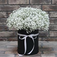 Цветочная композиция из Гипсофила в шляпной коробке #REPLACE_PRED# Дергаево