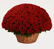 Премиум букет из: Розы в Дергаево